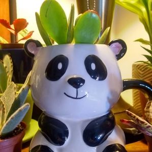 Meet your Posher, Marisol